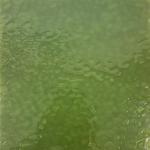 8 x 5 ASPARAGUS English Muffle Ripple – Stained Glass Sheet for Mosaic & Craft - Picture 1 of 5