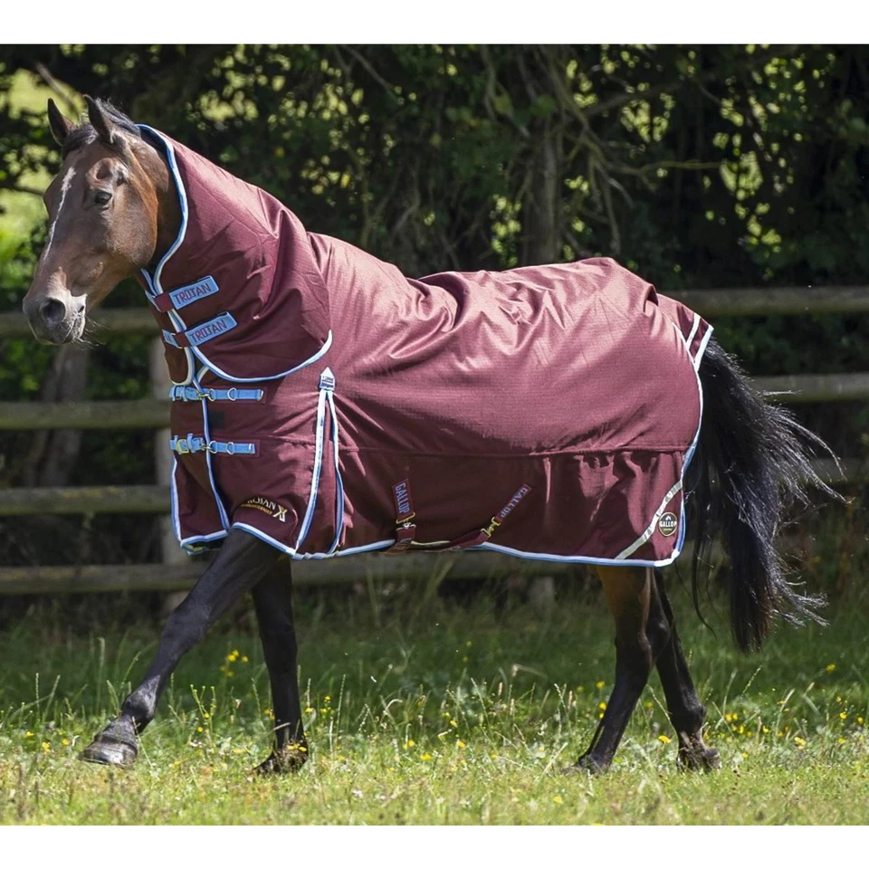 GALLOP EQUESTRIAN Galopp Trojan Xtra 350gm Combo Burg/Sky