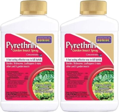 2 PACK Pyrethrin Concentrate Garden and Insect Spray, Bonide Products, 8 oz each - Image 1 of 4