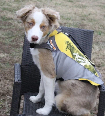 Touchdog Pro Outdoor Refelective Waterproof Teflon Vest Dog Jacket Clothes Coat - Image 1 of 4