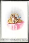 Victorian Art Christmas Greeting Card. Kitten In Basket. Poem. Fannie Rochat