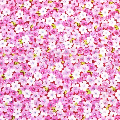 Tela de flores rosas 100 % algodón floral FQ HY BTY cuarto de grasa por yarda Foto 1 de 4