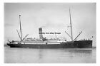 Rp16606 - New Zealand Passenger Ship - Moeraki , Built 1902 - Print 6X4