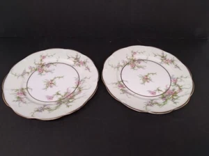 2er Set - Theodore Haviland New York Rosalinde 6-1/2" Brotteller FRANKREICH - Bild 1 von 7