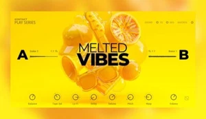 Native Instruments MELTED VIBES Play Series Kontakt Instrument  - Bild 1 von 1