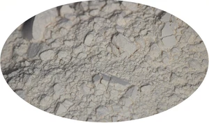 Meerrettichpulver / Kren - 1kg - Eder Gewürze Gewürz