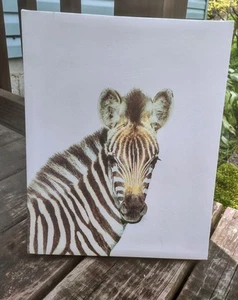 14x11x1.5 Baby Zebra Headshot On Canvas and Framed in Multi-Color - Excellent ! - Bild 1 von 12