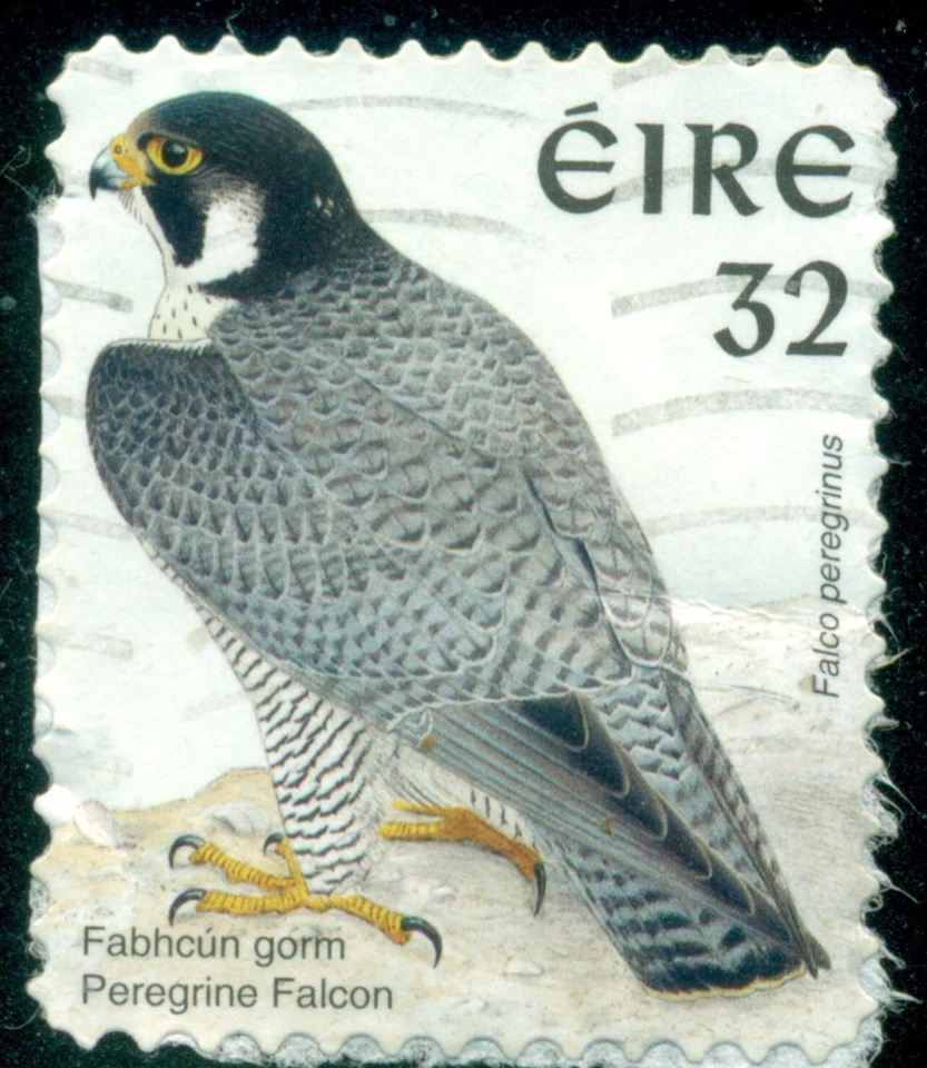 IRELAND SCOTT # 1054B, PEREGNINE FALCON, USED, GREAT PRICE! Foto 1 de 1