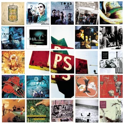 Toad The Wet Sprocket P.S: A Toad Retrospective (CD) (UK IMPORT) - Image 1 of 2