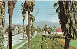POSTCARD San Bernardino, CA Palm Trees, Snow-capped Mountains, Railroad Depot - Picture 1 of 2