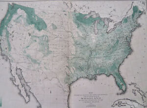 Woodland Density Forested Areas United States 1874 huge thematic map