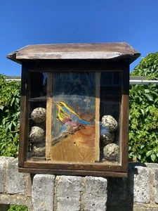 Fat Ball Bird Feeder/Dispenser - Picture 1 of 12