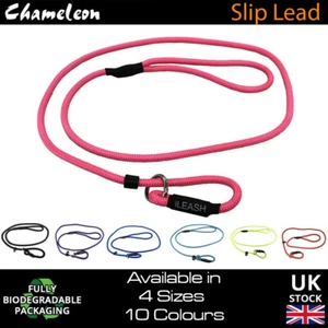 Strong Slip Rope Pet Dog Puppy Nylon Lead Leash  No Collar Needed 1.2m - Picture 1 of 11