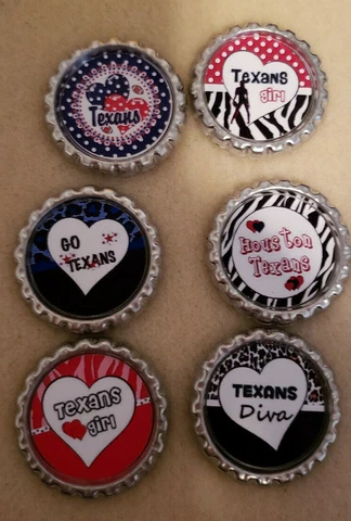 Houston Texans Magnets Cover