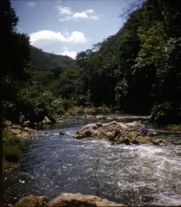 Vintage Stereo Realist Photo 3D Slide RIVER SCENE JAMAICA 1958 - Bild 1 von 3