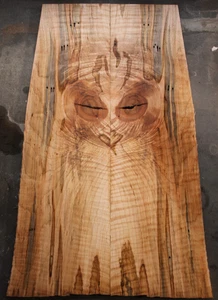 Curly Spalted Ink Line Maple Drop Top 0,21" THK Gitarre Bass Tonholz 2628 - Bild 1 von 18