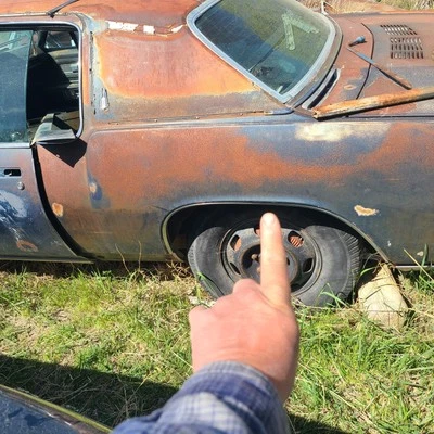 Oldsmobile Toronado 1971 cuarto de panel moldeado borde de rueda lado del conductor trasero OEM 71 Foto 1 de 4