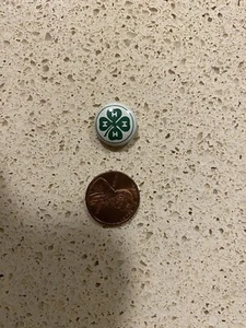 vintage 4-H club membership pin 1970’s excellent - Picture 1 of 2