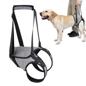 Arnés de elevación para perros mayores soporte para piernas cabestrillo cinturón auxiliar ayudas para caminar mascotas - Imagen 1 de 15
