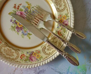WHITE ORCHID Community Silver Plated Flatware your choice Knife Fork - Picture 1 of 17
