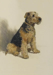WELSH TERRIER CHARMING DOG GREETINGS NOTE CARD - Picture 1 of 1