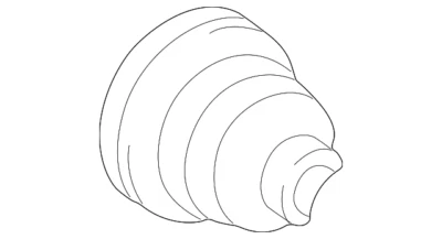 Toyota Camry 1994-1999 genuino - bota exterior 04438-06021 Foto 1 de 2