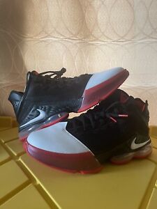Size 13 - Nike LeBron 19 Low Bred