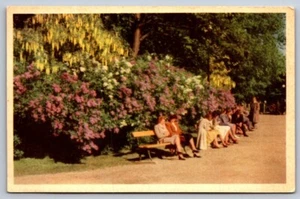 White Border Postcard Germany People in a Garden - Picture 1 of 2