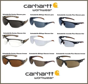 CARHARTT WORKWEAR Schutzbrillen Auswahl - Arbeit , Sport , Freizeit , Fahrrad