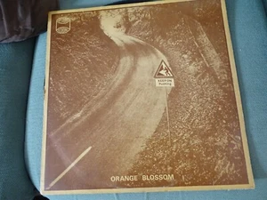 LP - ORANGE BLOSSOM - KEEP ON PUSHIN' - WESTWOOD - FALLEN EAGLE ETC - Bild 1 von 2