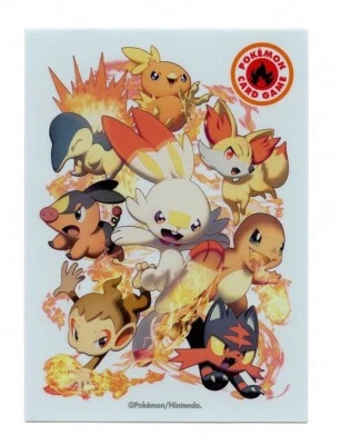 TYPE FIGHTERS Fire Type Individual Card Sleeve Pokemon Center Japan Original - Image 1 of 2