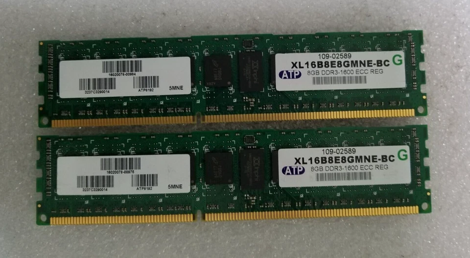 Lote de 2 servidores ATP 8GB PC3-1600 ECC REG RAM XL16B8E8GMNE-BC Foto 1 de 1