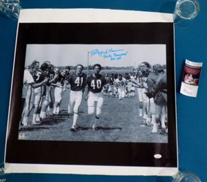 BILLY DEE WILLIAMS Signed "Gale Sayers No. 40" Canvas 23.75x24.25 Poster JSA COA - Picture 1 of 8