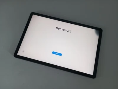 Tablet Samsung Galaxy Tab S9 FE 128 GB 6 GB Ram Wi-Fi Gris ESQUINA ENEGRECIDA - Imagen 1 de 4