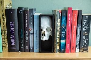 From the Grave Bookend, Skull, Horror, Memento Mori Bookend, Philosophy - Bild 1 von 7