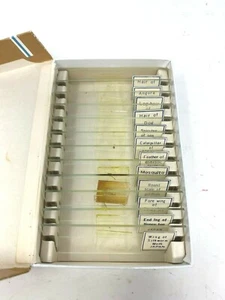 Vintage Compass No. 6052 Animals Microscope Scientific Prepared Slides  - Picture 1 of 2