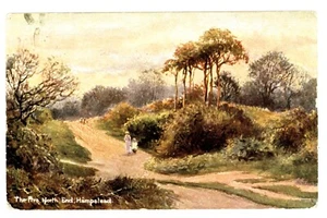 LONDON - THE FIRS, NORTH END, HAMPSTEAD 1907 Hildesheimer Postcard - Foto 1 di 1