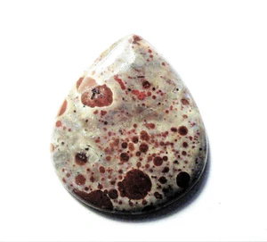 29.78cts NICE ASTEROID JASPER CABOCHON 33 x 28.5 x 4 mm MEXICO # 40 - Picture 1 of 2