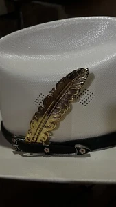 Pluma Para Sombrero Dorada / Gold - Picture 1 of 1