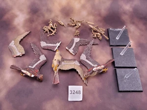 Warhammer Age Sigmar AOS Warhawk War Hawk Riders Metall OOP T345 - Bild 1 von 3