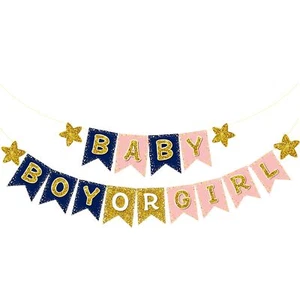 Boy or Girl Gender Reveal Party Decorations Gender Reveal Banner Gender Revea... - Picture 1 of 7