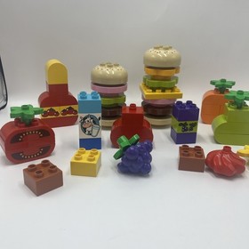 LEGO DUPLO Creative Picnic (10566) Incomplete