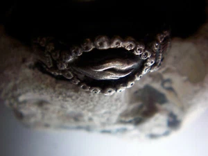 WMM-Freimaurer- Ring-Rosen-900Silber -Hände-Bruder-Gruß –Treuhandgriff - Picture 1 of 9