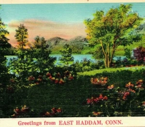Greetings from East Haddam Forest Flowers Illustration Print CT Vintage Postcard - Picture 1 of 4