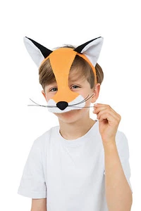 Child Fox Half Face Mask Fancy Dress Animals & Nature Accessory - Picture 1 of 1