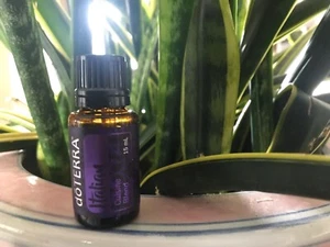 doTERRA Italian Cuisine 15 mL Essential Oil NEW & SEALED Exp 03/24 - Picture 1 of 1