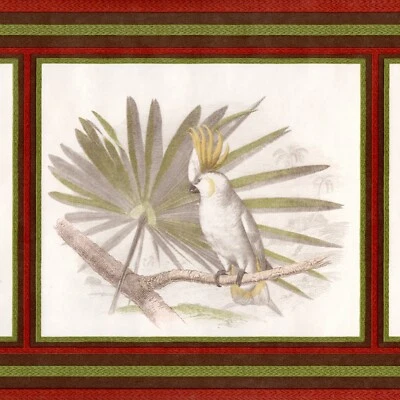 Raymond Waites Diseñador Exótico Pájaro Tropical Papel Pintado Borde 15' L x 11.5" W Foto 1 de 4