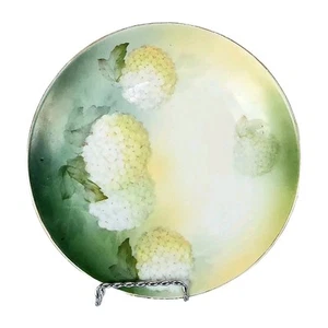Reinhold Schlegelmilch (RS) Hand Painted Green Hydrangeas Decorative 8 ½ Plate - Picture 1 of 9