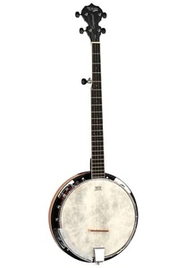 Banjo, By Tanglewood, 5 String, MODEL NO. TUB5, Remo skin, Latest, Great Sound - Picture 1 of 2