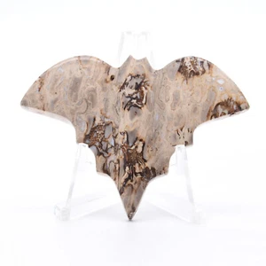 67mm Crystal Gemstone Fossilised Palm Root Bat Healing Mineral Natural - Picture 1 of 3